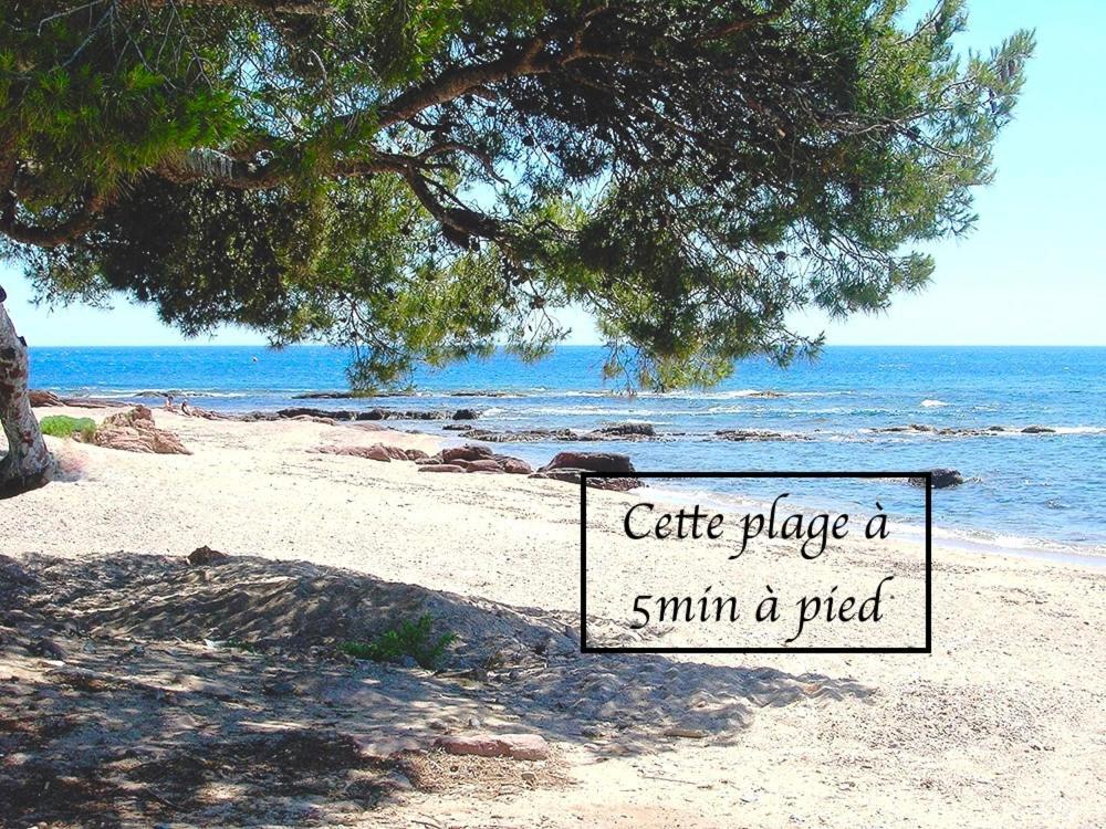 Appartement Plage Et Nature Saint-Raphael  Bagian luar foto